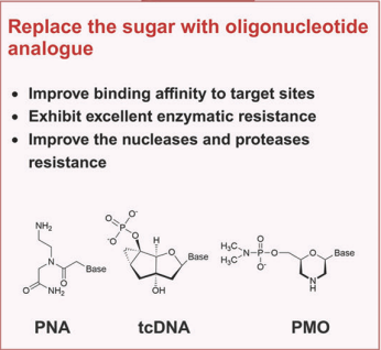 Figure 5. Replace the sugar with oligonucleotide analogue.