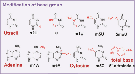 Figure 6. Modification of base group.