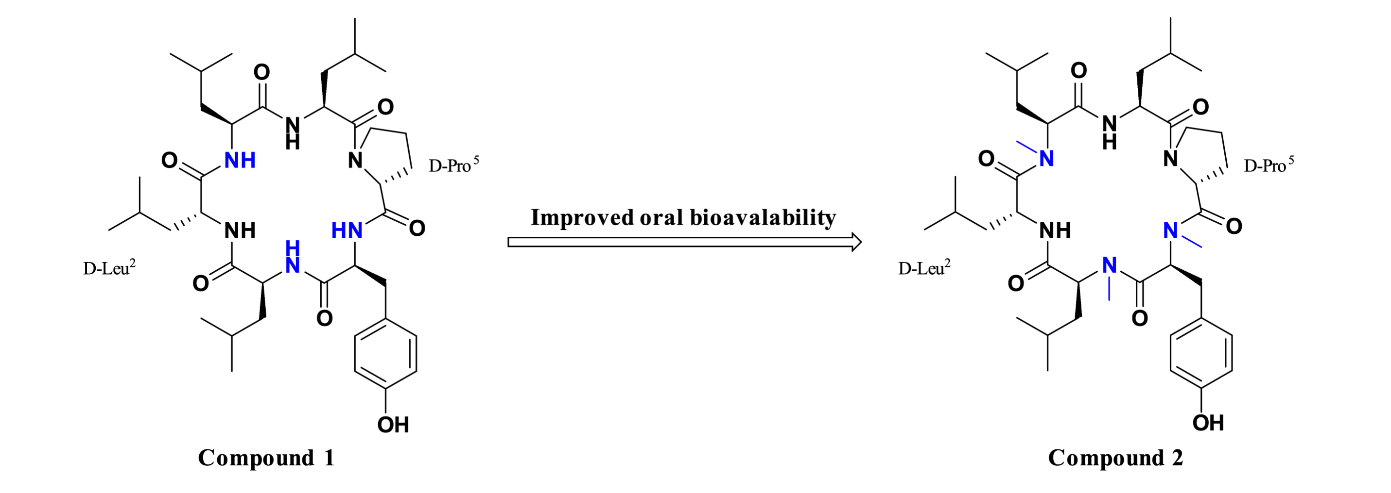 Figure 4. N-Methylated peptides with improved oral bioavailability.