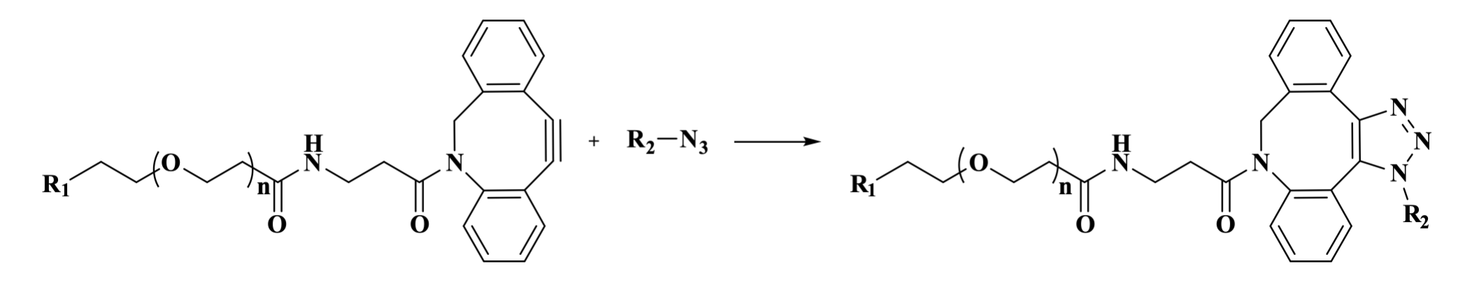 Figure1. The strain-promoted azide-alkyne cycloaddition (SPAAC) between DBCO and an azide. 
