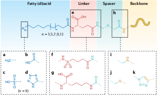 Fig2.Structural Features of Fatty Acid Derivatives