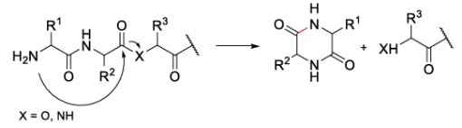 Fig1. Mechanism of DKP Formation.