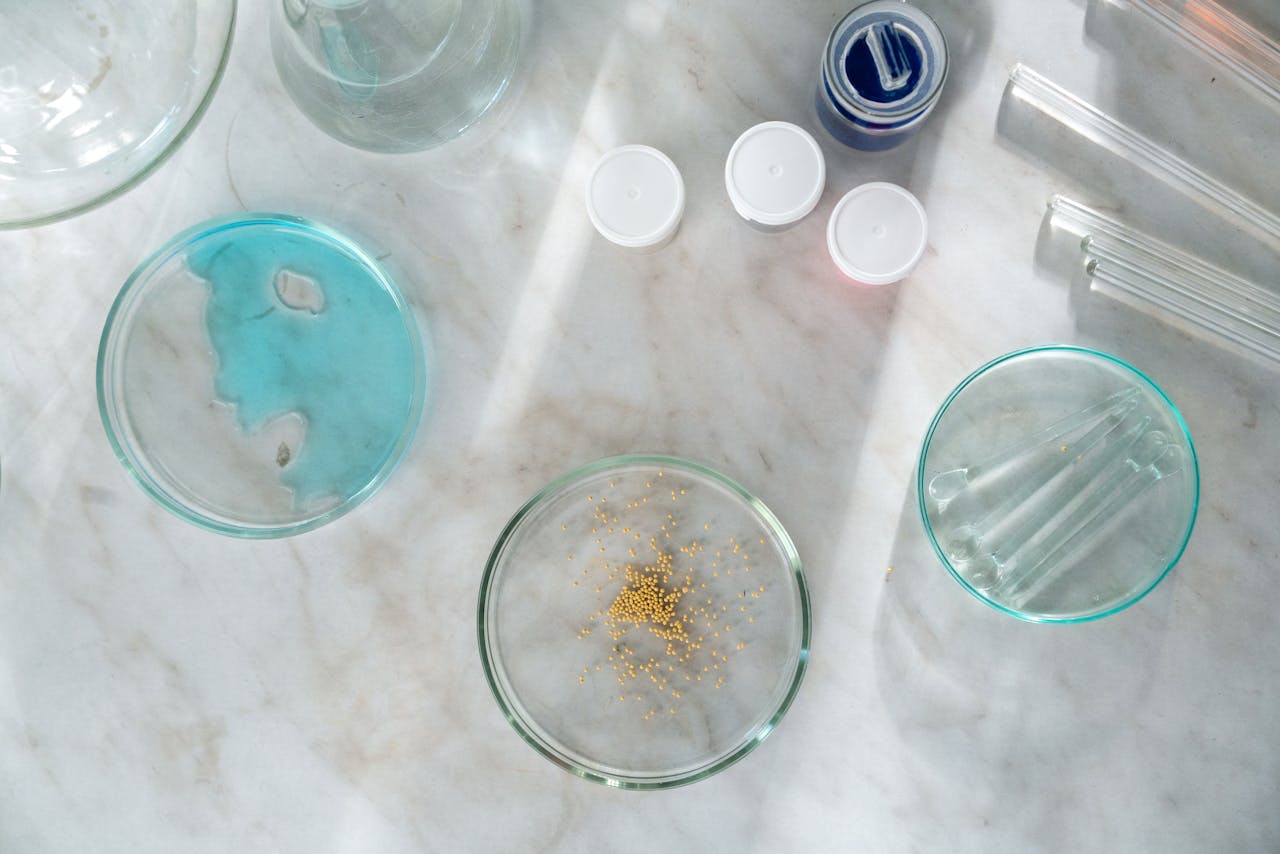 Nucleotide Polymerization: Mechanisms, Process and Key Applications