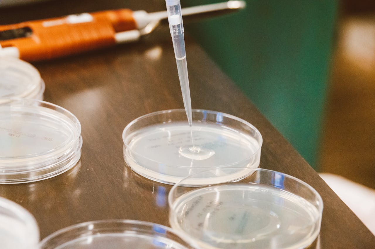 What Are Nucleotides?