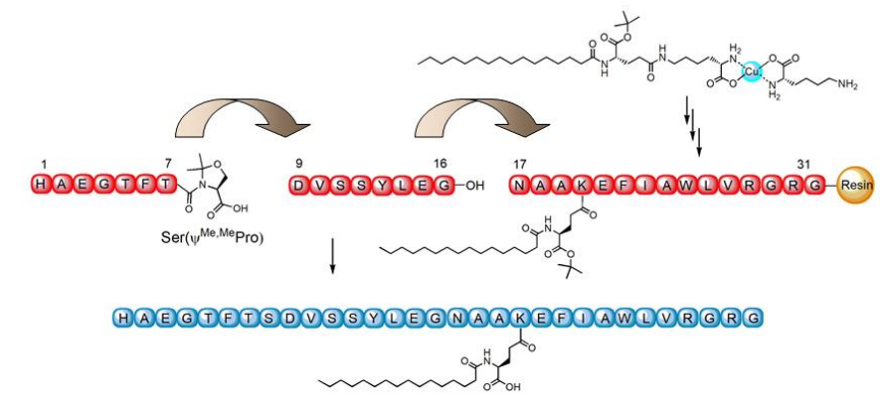 Figure 5. Application of a pseudoproline dipeptide in liraglutide synthesis [3].