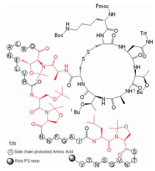 Figure 6. Application of pseudoproline dipeptides in the synthesis of hAmylin1&ndash;37 [4].