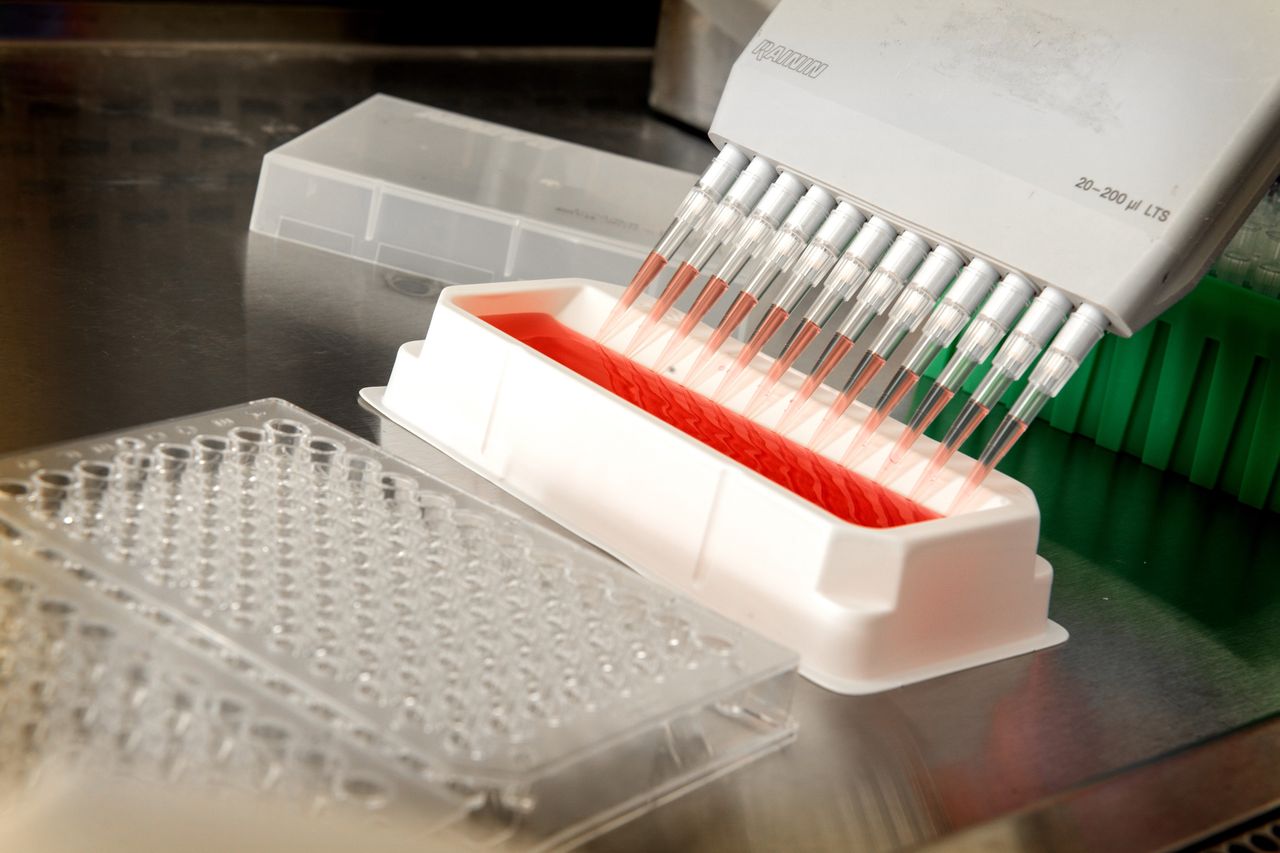 How to Choose the Right Citric Acid Grade for Peptide and Oligonucleotide Formulations
